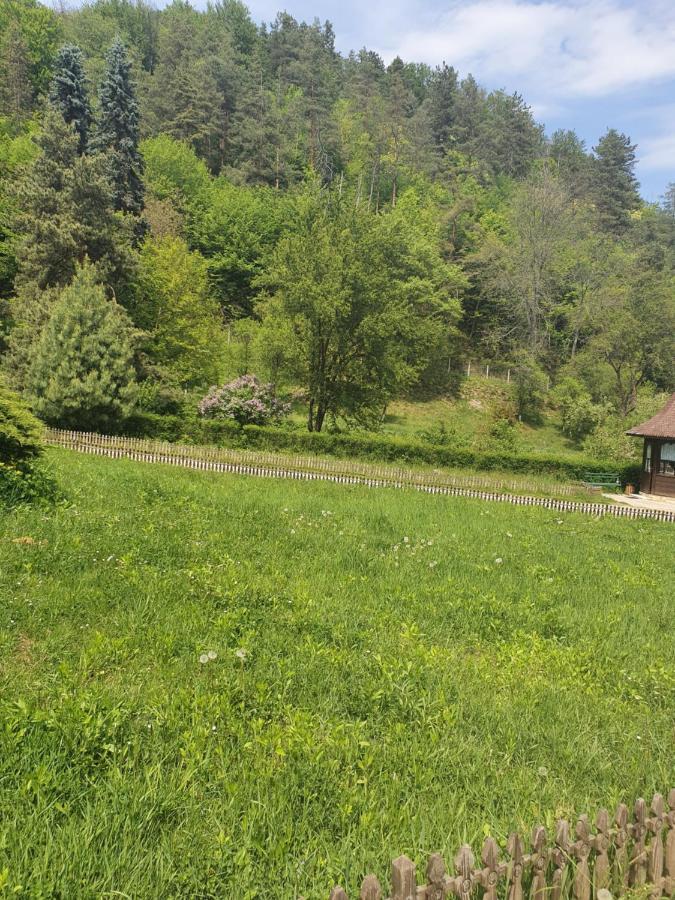 Pensiunea Roua Muntelui Brăzeşti Exterior foto