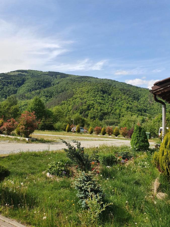 Pensiunea Roua Muntelui Brăzeşti Exterior foto